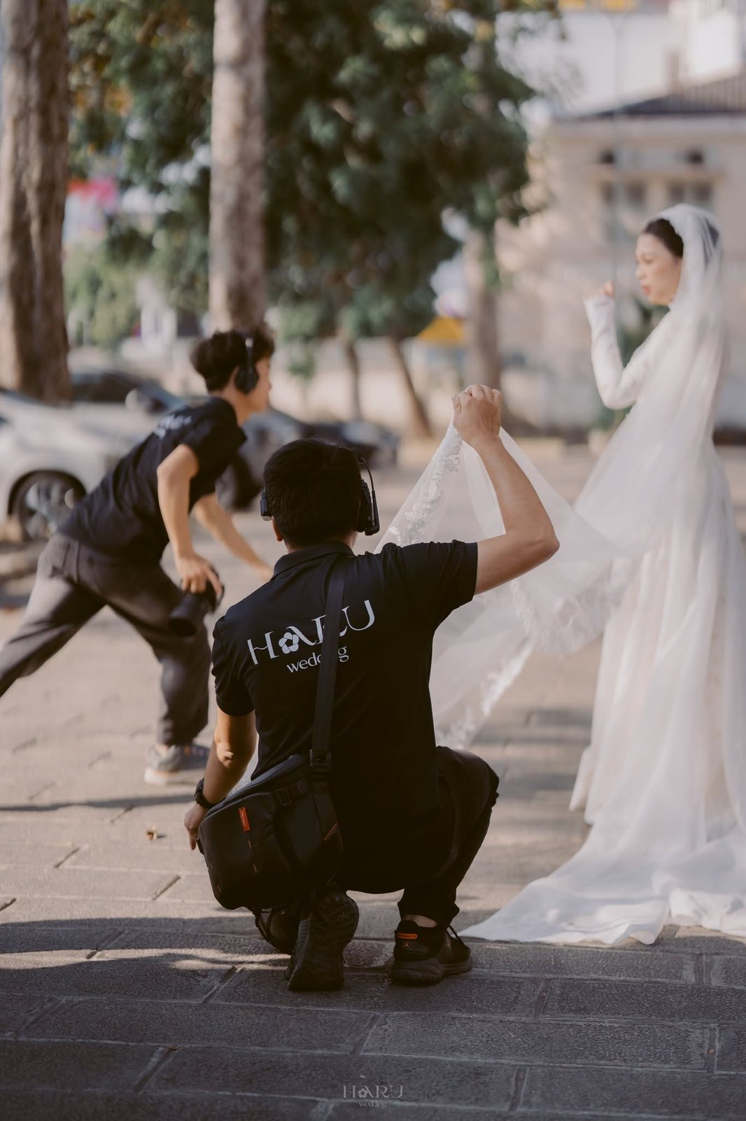 501067630 1285534586912033 8897729465448341573 n — HARU — Behind the Scenes