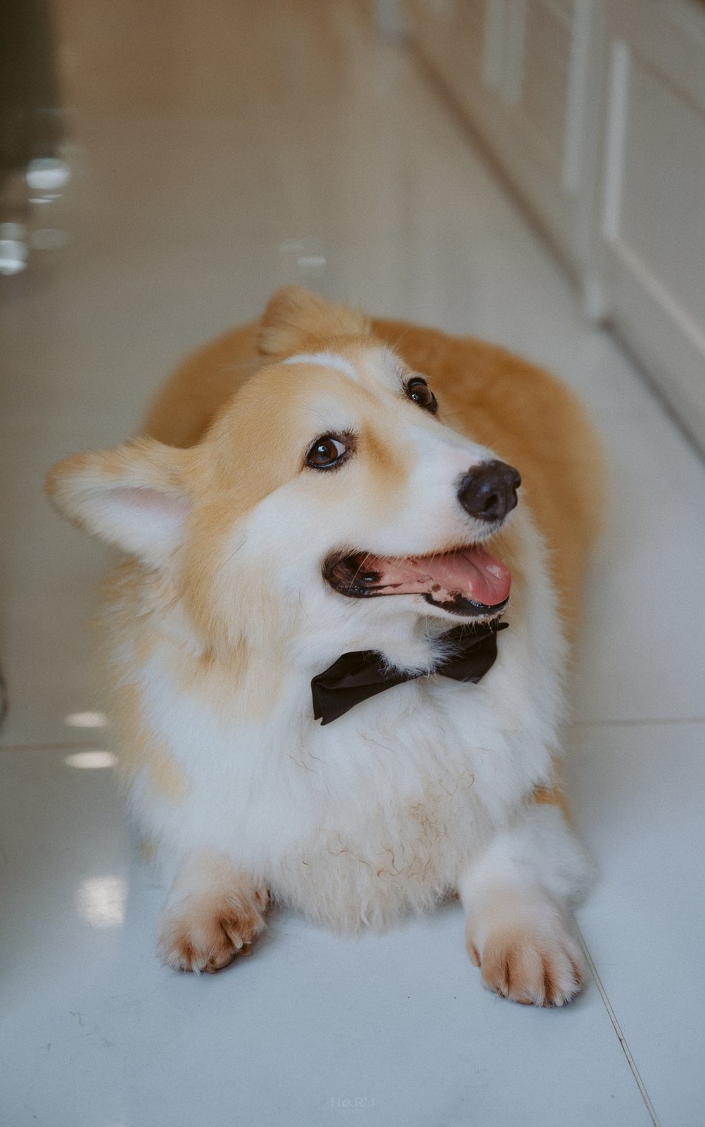 DSC 1994 — Vy & Duy